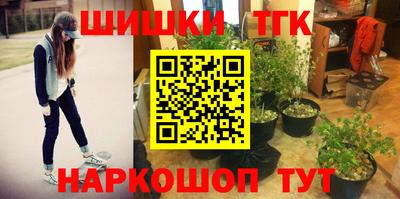 стаф Кулебаки