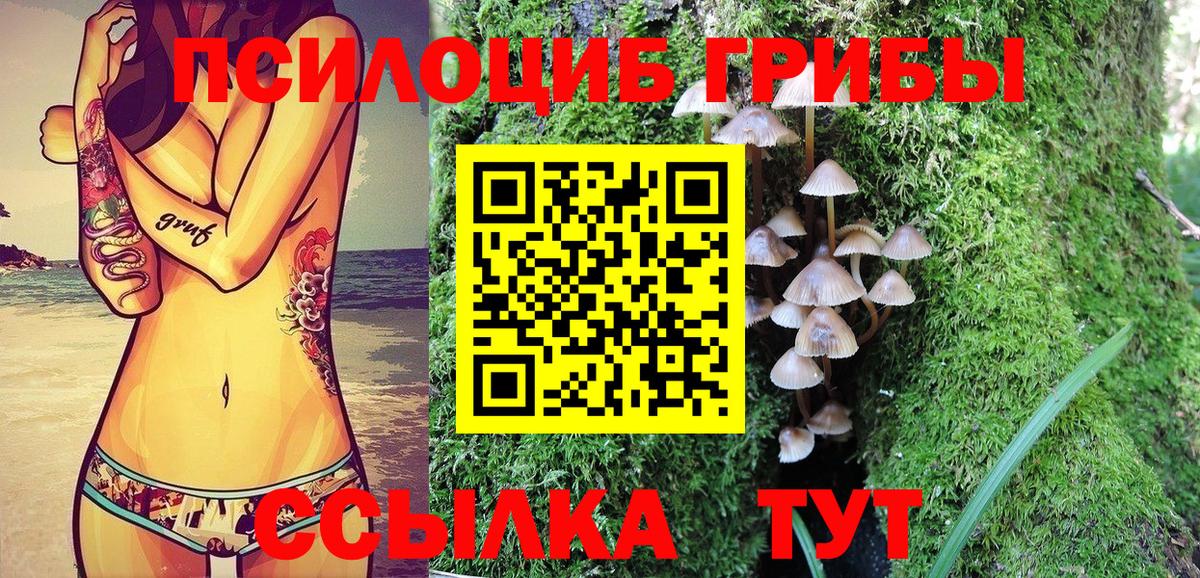 Псилоцибиновые грибы Psilocybine cubensis Екатеринбург