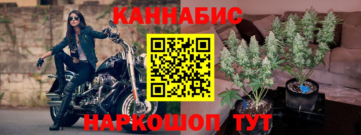 Каннабис White Widow Екатеринбург
